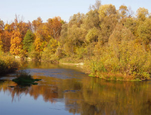 осень
