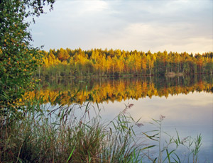 детские стихи про осень